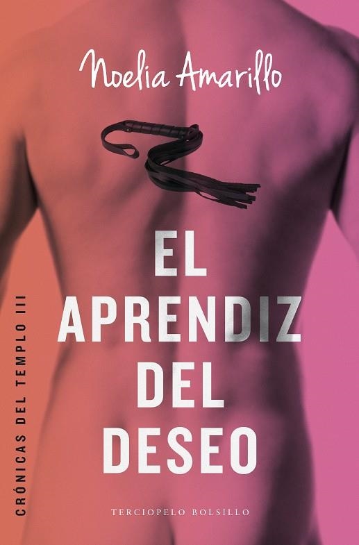 APRENDIZ DEL DESEO, EL (BOLSILLO) | 9788415952916 | AMARILLO, NOELIA | Llibreria La Gralla | Librería online de Granollers