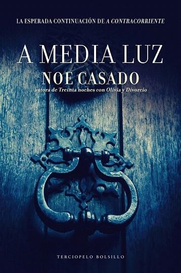 A MEDIA LUZ | 9788415952961 | CASADO, NOE | Llibreria La Gralla | Librería online de Granollers