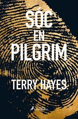 SOC EN PILGRIM | 9788416310159 | HAYES, TERRY | Llibreria La Gralla | Llibreria online de Granollers