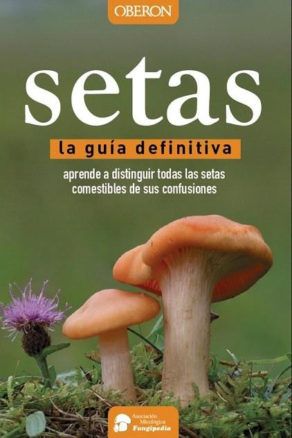 SETAS. LA GUIA DEFINITIVA | 9788441537842 | CALVO PÉREZ, AITOR/CALVO PÉREZ, JAVIER/ROMÁN ECHEVARRÍA, JUAN ANDRÉS/IBARRETXE IRAGORRI, RICARDO | Llibreria La Gralla | Llibreria online de Granollers