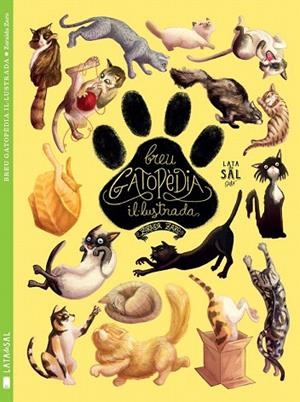 BREU GATOPÈDIA IL·LUSTRADA | 9788494469886 | ZARO SOTO, ZORAIDA | Llibreria La Gralla | Librería online de Granollers