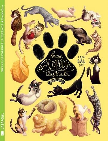 BREVE GATOPEDIA ILUSTRADA | 9788494469862 | ZARO SOTO, ZORAIDA | Llibreria La Gralla | Llibreria online de Granollers
