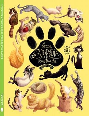 BREVE GATOPEDIA ILUSTRADA | 9788494469862 | ZARO SOTO, ZORAIDA | Llibreria La Gralla | Librería online de Granollers