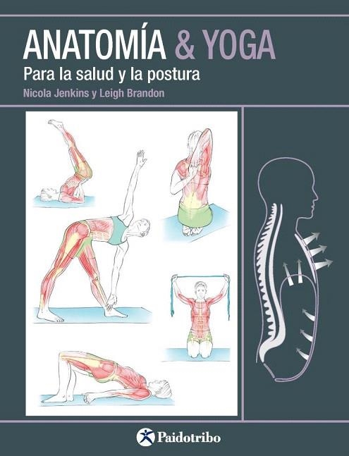 ANATOMIA Y YOGA PARA LA SALUD Y LA POSTURA | 9788499106618 | JENKINS, NICOLA; BRANDON, LEIGH | Llibreria La Gralla | Librería online de Granollers