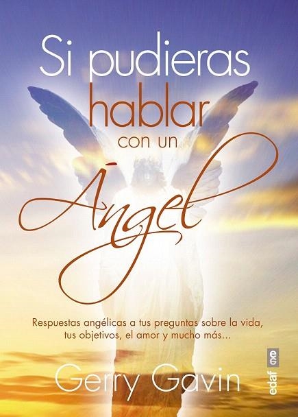 SI PUDIERAS HABLAR CON UN ÁNGEL | 9788441436510 | GAVIN, GERRY | Llibreria La Gralla | Llibreria online de Granollers