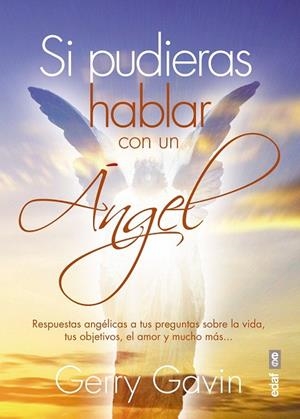 SI PUDIERAS HABLAR CON UN ÁNGEL | 9788441436510 | GAVIN, GERRY | Llibreria La Gralla | Llibreria online de Granollers