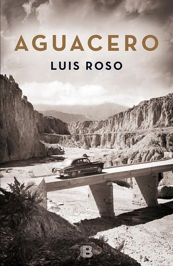 AGUACERO | 9788466659215 | ROSO, LUIS | Llibreria La Gralla | Librería online de Granollers
