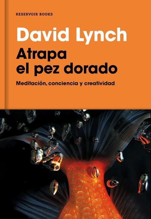 ATRAPA EL PEZ DORADO | 9788416709014 | LYNCH, DAVID | Llibreria La Gralla | Llibreria online de Granollers