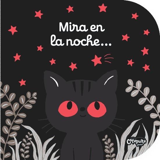 MIRA EN LA NOCHE... | 9789876374149 | VV.AA | Llibreria La Gralla | Librería online de Granollers