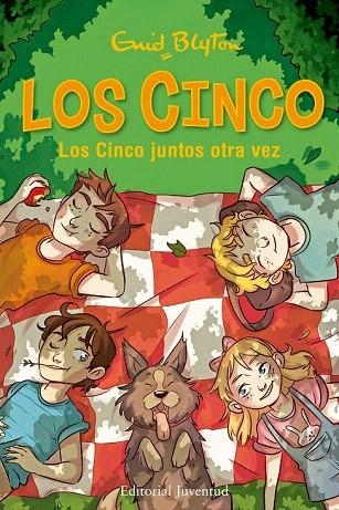 CINCO 21. LOS CINCO JUNTOS OTRA VEZ | 9788426143112 | Llibreria La Gralla | Llibreria online de Granollers