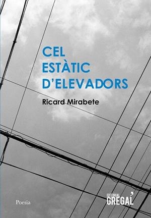 CEL ESTATIC D'ELEVADORS | 9788494564819 | MIRABETE, RICARD | Llibreria La Gralla | Llibreria online de Granollers