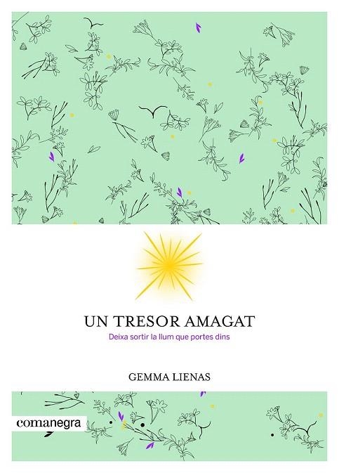 TRESOR AMAGAT, UN | 9788416605347 | LIENAS, GEMMA | Llibreria La Gralla | Librería online de Granollers