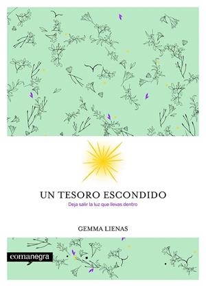 TESORO ESCONDIDO, UN | 9788416605354 | LIENAS, GEMMA | Llibreria La Gralla | Llibreria online de Granollers