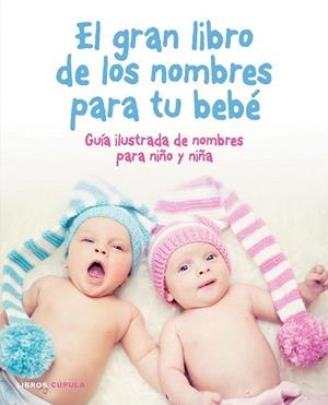 GRAN LIBRO DE LOS NOMBRES PARA TU BEBÉ, EL | 9788448022488 | AA. VV. | Llibreria La Gralla | Librería online de Granollers