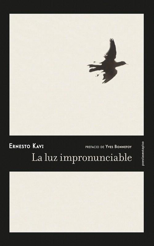 LUZ IMPRONUNCIABLE, LA | 9788416677092 | KAVI, ERNESTO | Llibreria La Gralla | Llibreria online de Granollers
