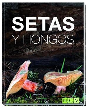 SETAS Y HONGOS | 9783869417776 | KOTHE, HANS W. | Llibreria La Gralla | Llibreria online de Granollers