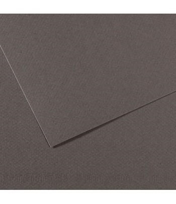 PAPER MI TEINTES 50X65 160 G. Nº345 GRIS PISSARRA | 3148953210644 | 200321064 | Llibreria La Gralla | Llibreria online de Granollers