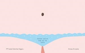 SENSE CALCETES AL CALAIX | 9788416670031 | SÁNCHEZ VEGARA, Mª ISABEL | Llibreria La Gralla | Llibreria online de Granollers