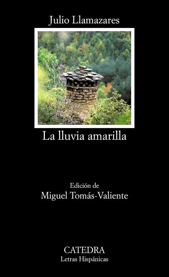 LLUVIA AMARILLA, LA (BOLSILLO) | 9788437635972 | LLAMAZARES, JULIO | Llibreria La Gralla | Librería online de Granollers
