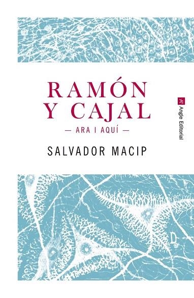 RAMON Y CAJAL  ARA I AQUI | 9788415307242 | MACIP, SALVADOR | Llibreria La Gralla | Llibreria online de Granollers