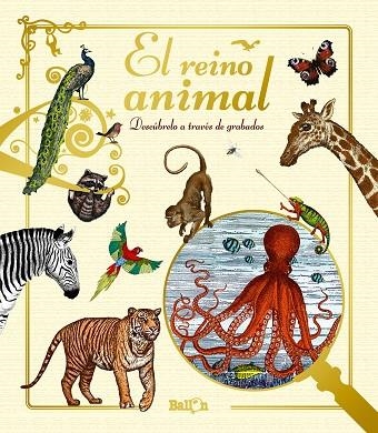REINO ANIMAL, EL | 9789463075213 | BALLON | Llibreria La Gralla | Librería online de Granollers