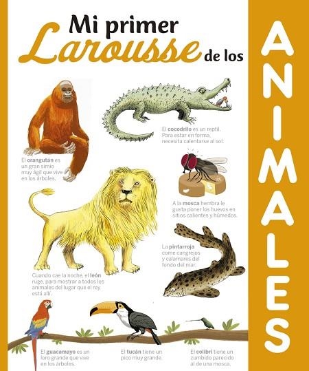 MI PRIMER LAROUSSE DE LOS ANIMALES | 9788416641321 | VVAA | Llibreria La Gralla | Librería online de Granollers