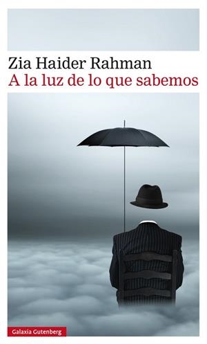 A LA LUZ DE LO QUE SABEMOS | 9788416252480 | HAIDER, ZIA | Llibreria La Gralla | Librería online de Granollers