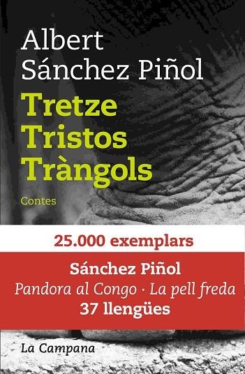 TRETZE TRISTOS TRÀNGOLS | 9788416863082 | SÁNCHEZ PIÑOL, ALBERT | Llibreria La Gralla | Llibreria online de Granollers