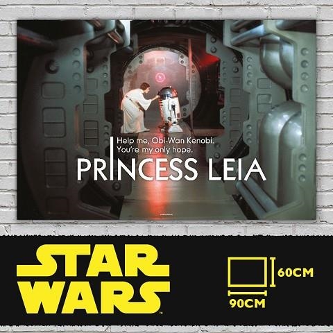 LEIA HELP ME POSTER VIDRIO STAR WARS A NEW HOPE | 8435450202162 | SD TOYS | Llibreria La Gralla | Librería online de Granollers