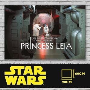 LEIA HELP ME POSTER VIDRIO STAR WARS A NEW HOPE | 8435450202162 | SD TOYS | Llibreria La Gralla | Librería online de Granollers
