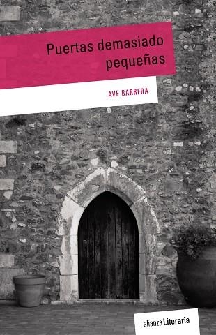 PUERTAS DEMASIADO PEQUEÑAS | 9788491044987 | BARRERA, AVE | Llibreria La Gralla | Llibreria online de Granollers