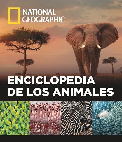 ENCICLOPEDIA DE LOS ANIMALES | 9788482986432 | VARIOS AUTORES | Llibreria La Gralla | Librería online de Granollers