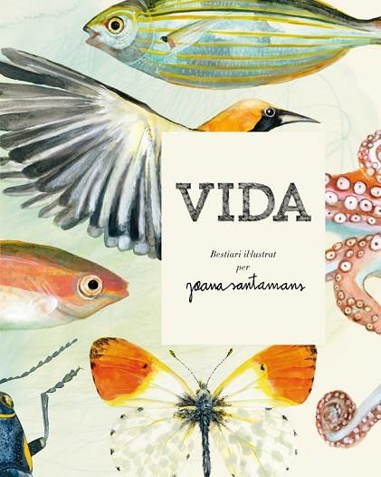 VIDA. BESTIARI IL·LUSTRAT PER JOANA SANTAMANS | 9788416670000 | SANTAMANS, JOANA | Llibreria La Gralla | Librería online de Granollers