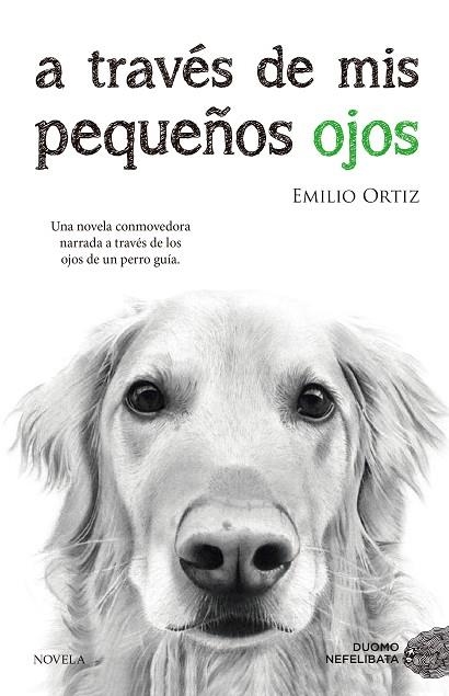 A TRAVES DE MIS PEQUEÑOS OJOS | 9788416634682 | ORTIZ, EMILIO | Llibreria La Gralla | Llibreria online de Granollers