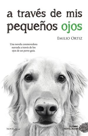 A TRAVES DE MIS PEQUEÑOS OJOS | 9788416634682 | ORTIZ, EMILIO | Llibreria La Gralla | Librería online de Granollers