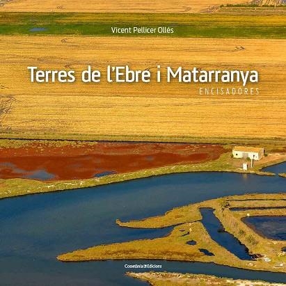 TERRES DE L'EBRE I MATARRANYA | 9788490345467 | PELLICER, VICENT | Llibreria La Gralla | Librería online de Granollers