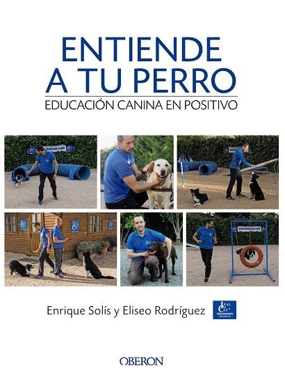 ENTIENDE A TU PERRO  EDUCACION CANINA EN POSITIVO | 9788441538412 | VVAA | Llibreria La Gralla | Llibreria online de Granollers