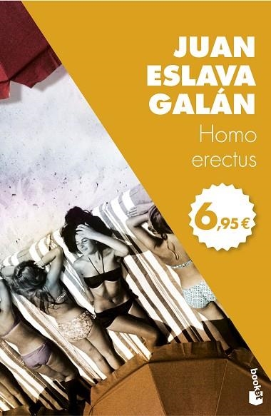 HOMO ERECTUS (BOLSILLO) | 9788408166405 | ESLAVA GALAN, JUAN | Llibreria La Gralla | Librería online de Granollers