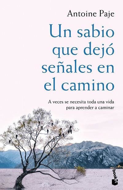 SABIO QUE DEJÓ SEÑALES EN EL CAMINO, UN  (BOLSILLO) | 9788408166382 | PAJE, ANTOINE | Llibreria La Gralla | Llibreria online de Granollers
