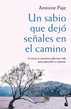 SABIO QUE DEJÓ SEÑALES EN EL CAMINO, UN  (BOLSILLO) | 9788408166382 | PAJE, ANTOINE | Llibreria La Gralla | Librería online de Granollers