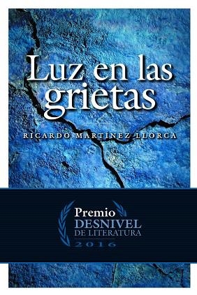 LUZ EN LAS GRIETAS | 9788498293739 | MARTINEZ, RICARDO | Llibreria La Gralla | Librería online de Granollers