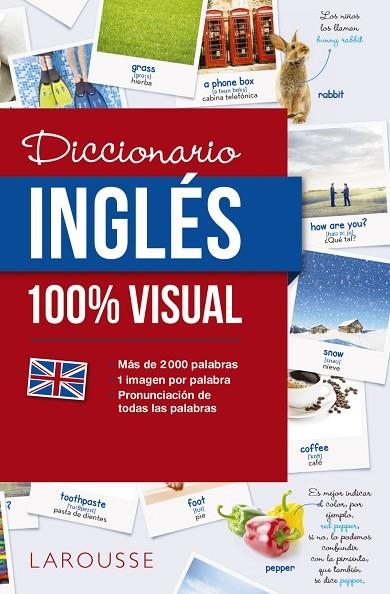 DICCIONARIO DE INGLES 100% VISUAL | 9788416641772 | VVAA | Llibreria La Gralla | Llibreria online de Granollers