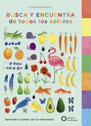 BUSCA Y ENCUENTRA DE TODOS LOS COLORES | 9788494504266 | HVASS; HANNIBAL | Llibreria La Gralla | Librería online de Granollers