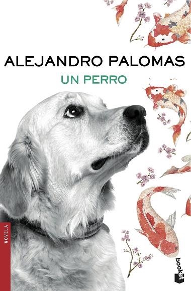 PERRO, UN | 9788423351862 | PALOMAS, ALEJANDRO | Llibreria La Gralla | Llibreria online de Granollers