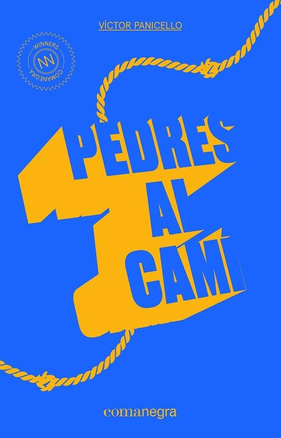 PEDRES AL CAMI | 9788416605521 | PANICELLO, VICTOR | Llibreria La Gralla | Llibreria online de Granollers