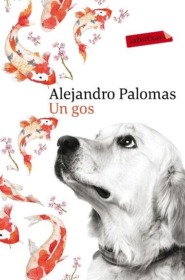 UN GOS (BUTXACA) | 9788416600625 | PALOMAS, ALEJANDRO | Llibreria La Gralla | Librería online de Granollers