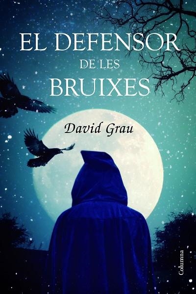DEFENSOR DE LES BRUIXES, EL | 9788466421966 | GRAU, DAVID | Llibreria La Gralla | Llibreria online de Granollers