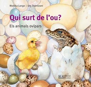 QUI SURT DE L'OU? | 9788426144096 | LANGE; THONISSEN | Llibreria La Gralla | Llibreria online de Granollers