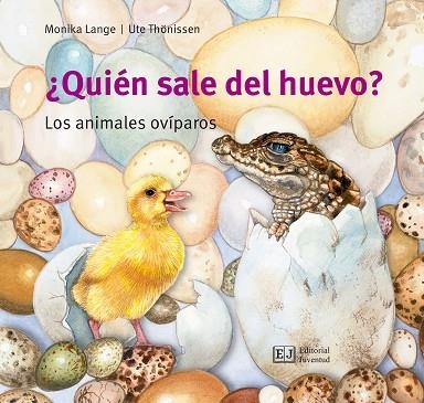 QUIEN SALE DEL HUEVO? | 9788426144072 | LANGE; THONISSEN | Llibreria La Gralla | Librería online de Granollers
