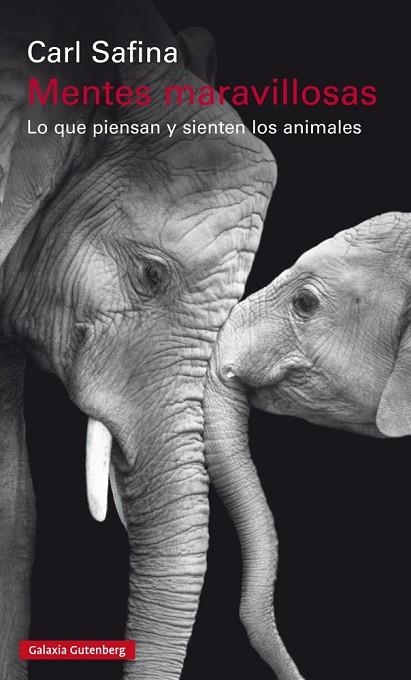 MENTES MARAVILLOSAS | 9788481095746 | SAFINA, CARL | Llibreria La Gralla | Llibreria online de Granollers